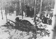 Zakaj je vredno ohranjati spomin na partizanski boj med NOB?!